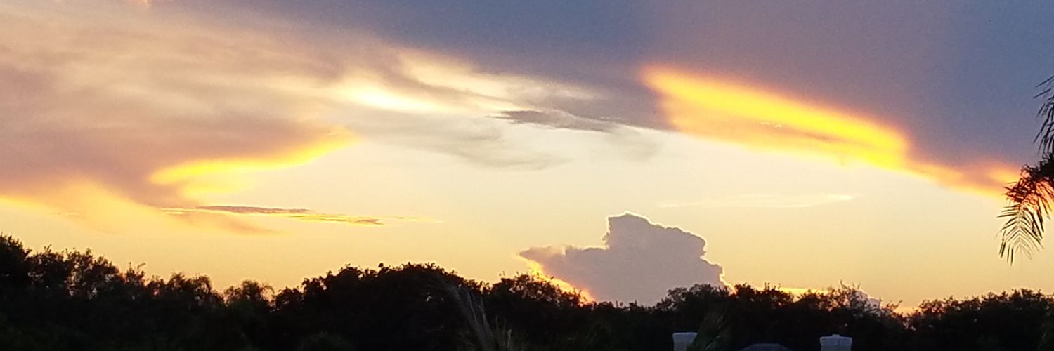 Reaper_785's profile banner image