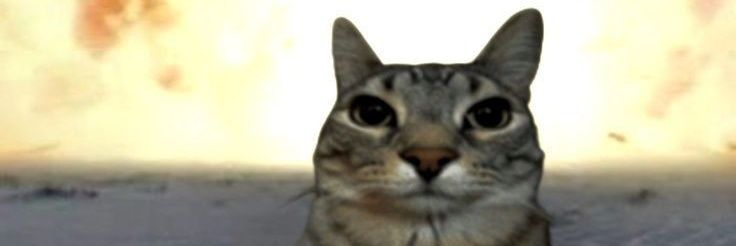 bbbbb banner
