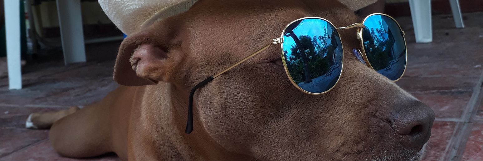 OrooGonzalez's profile banner image