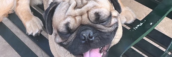 ArielBanegas Profile Banner