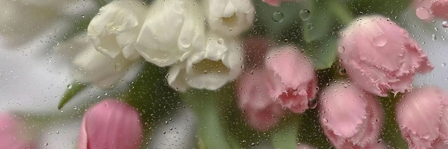 Nannn🧚‍♀️ || mention after dm || banner
