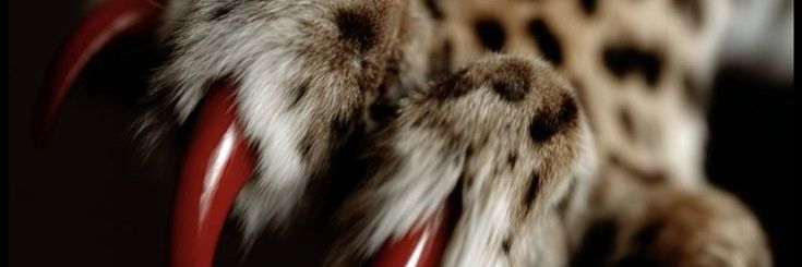 abusadamexmo's profile banner image