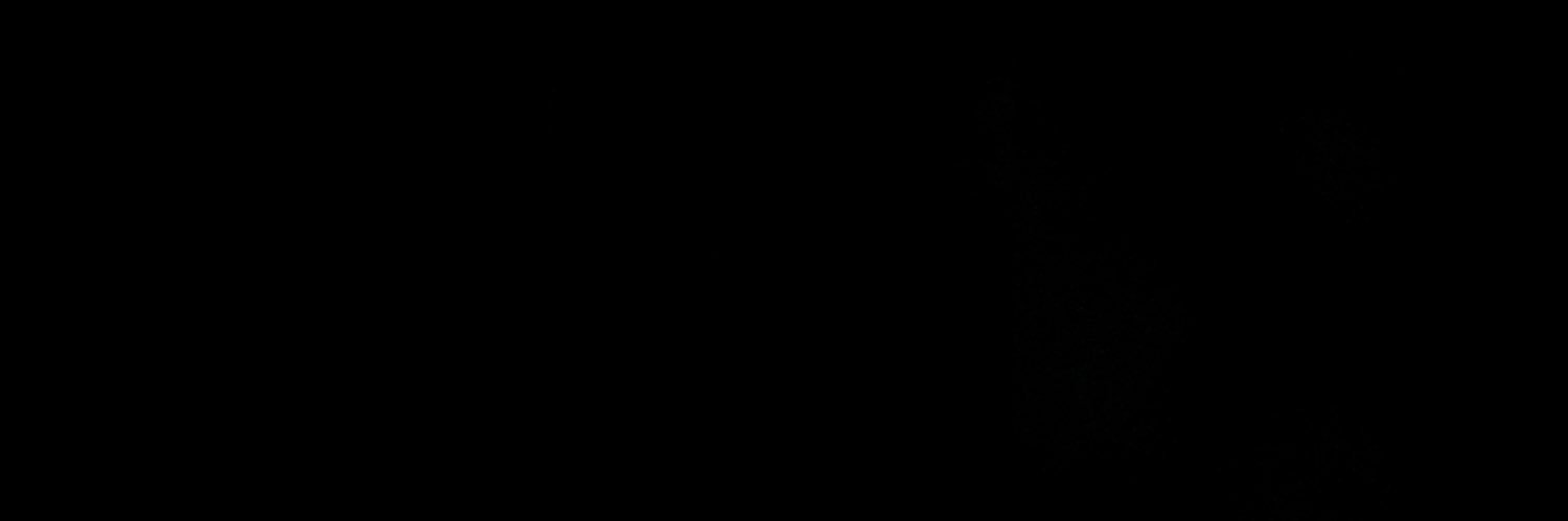 MOMO banner