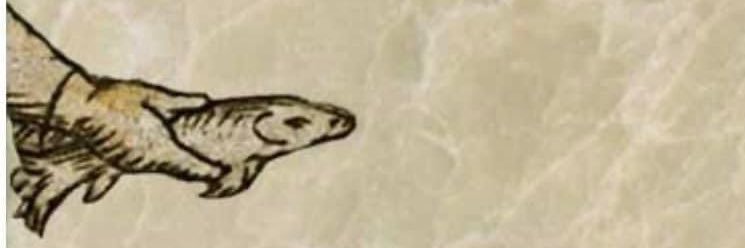 FemaleKarsten's profile banner image