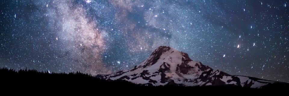 songdragon's profile banner image