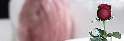 جموله ₃₀₅ ༘♡ banner