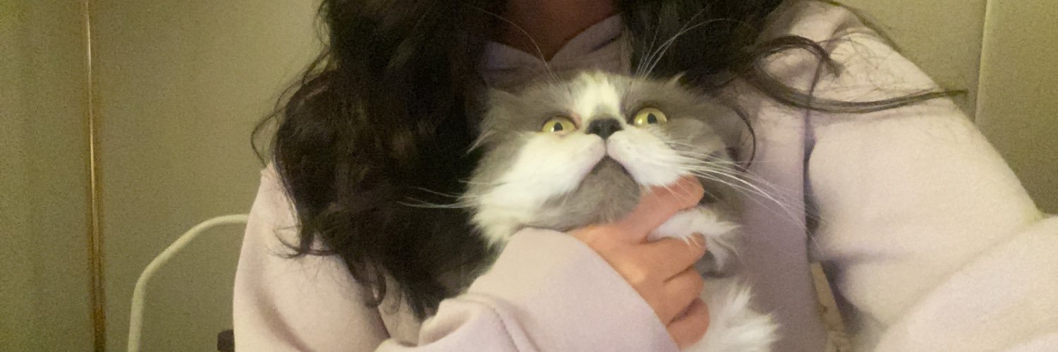 Lulyy👩🏻‍💻🎓 banner