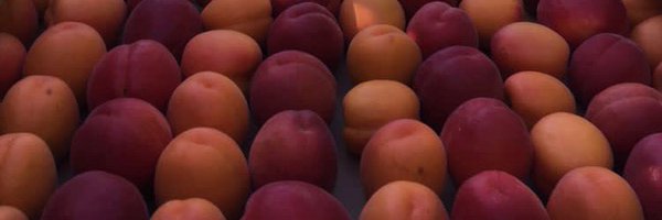 fvalles82 Profile Banner