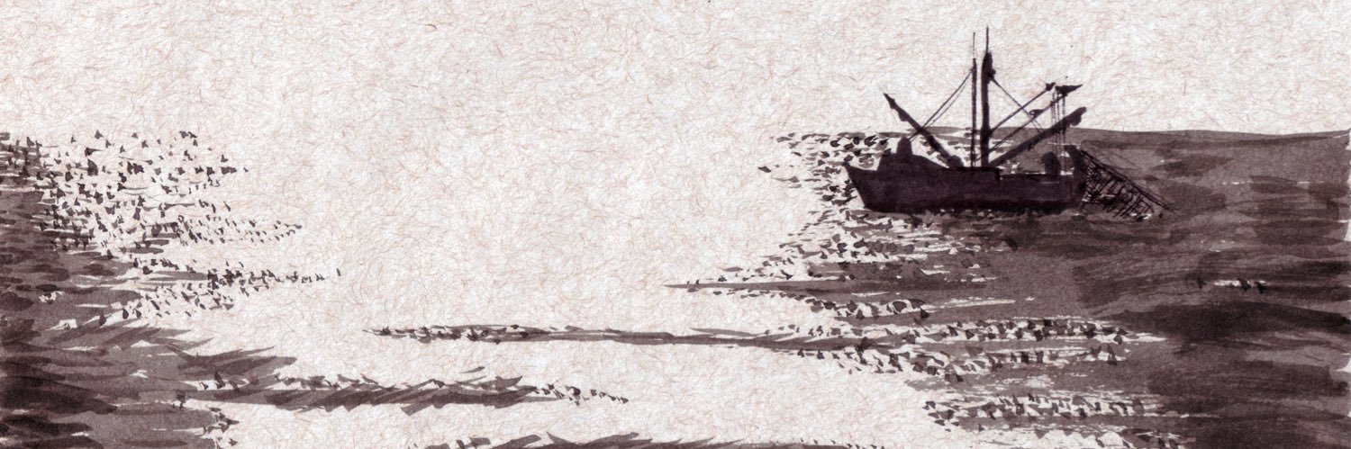 adamccasey's profile banner image