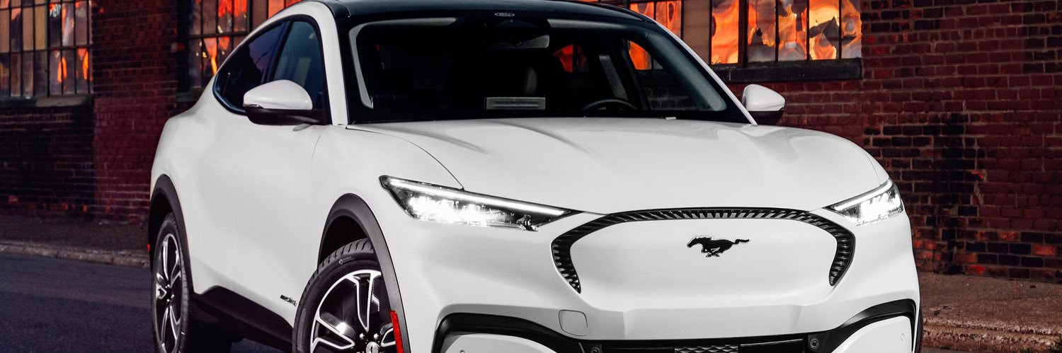 Virginie Boone banner