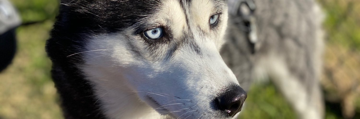 EyevanSee's profile banner image
