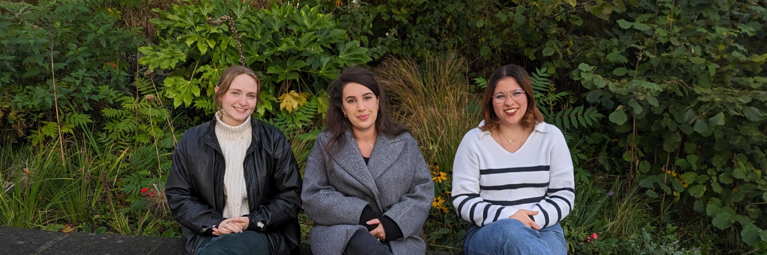 New and Emerging Semiconductors Group banner