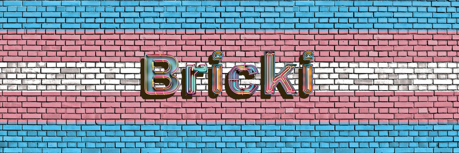 Bricki 🏳️‍⚧️ Profile Banner