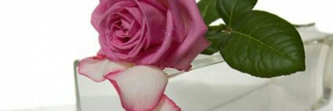 amwrh132's profile banner image