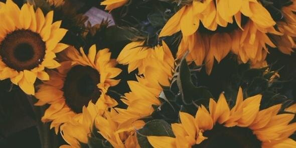 MeHasOlvidado's profile banner image