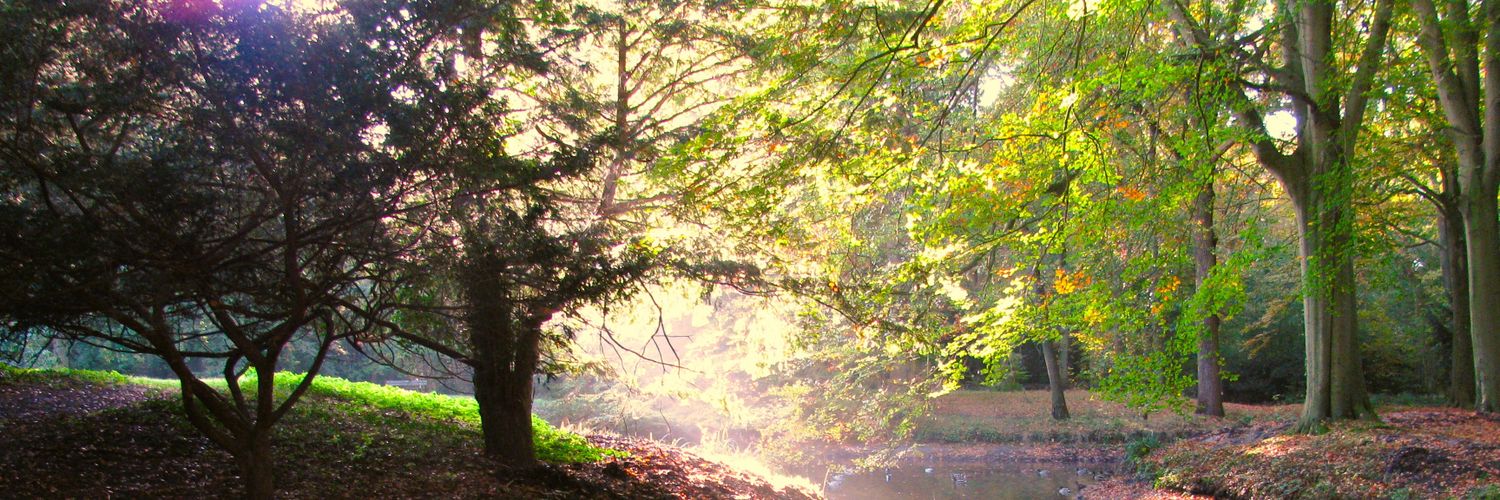 Hubbie_d's profile banner image