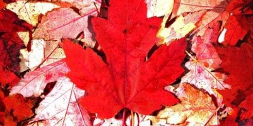 K_Saint35's profile banner image