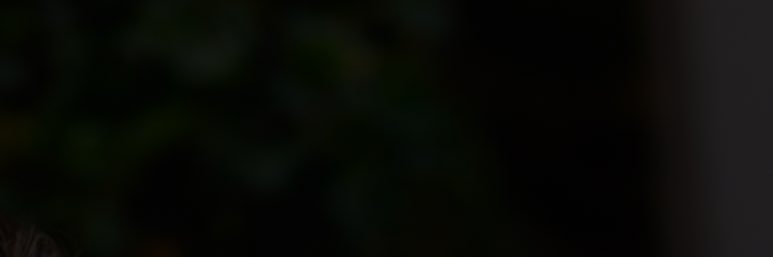 Alex Caruso banner