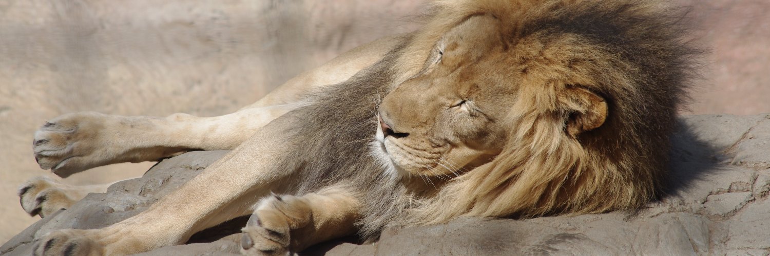 Bill Kendrick has moved to Mastodon banner