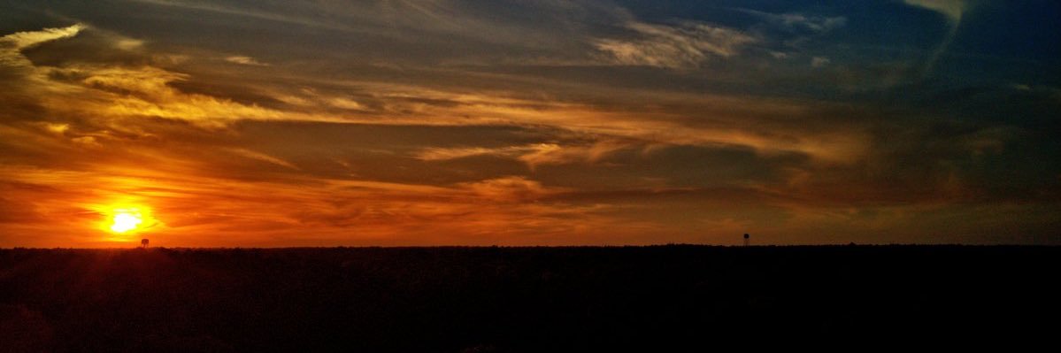 gigiz's profile banner image