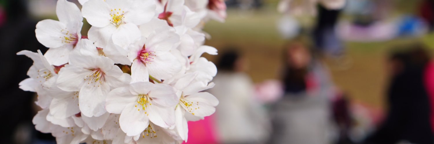 5550panda's profile banner image
