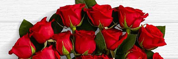24Roses's profile banner image