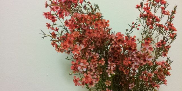 Sammadac's profile banner image
