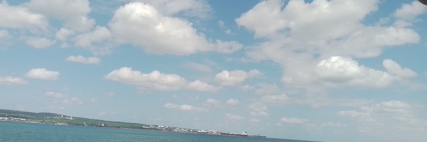 Laura Hernandez banner