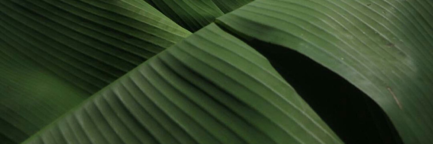 mekileeee's profile banner image
