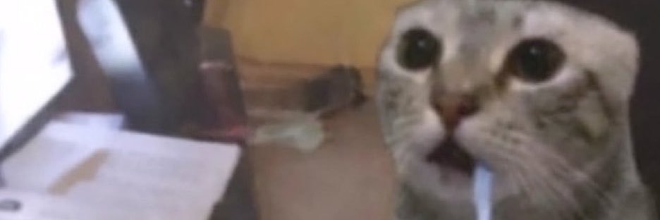 gingerhimb0's profile banner image