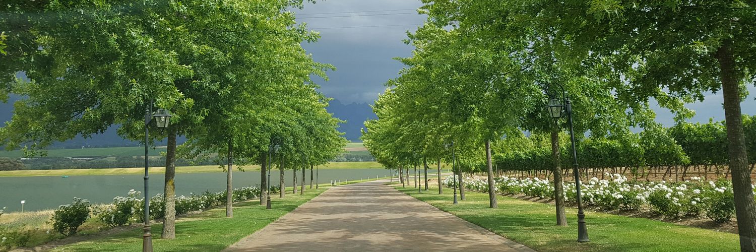 Cape TG Connection banner