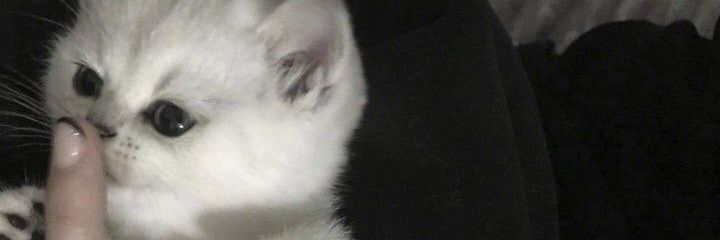jssss_25's profile banner image