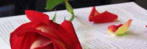 STAYE22 Profile Banner