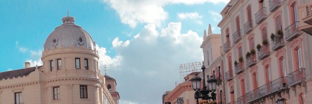 triniitl's profile banner image