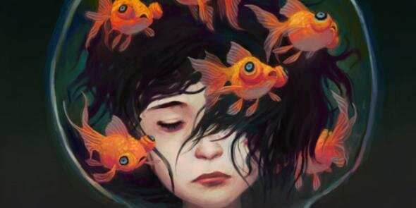 juniordjandon's profile banner image