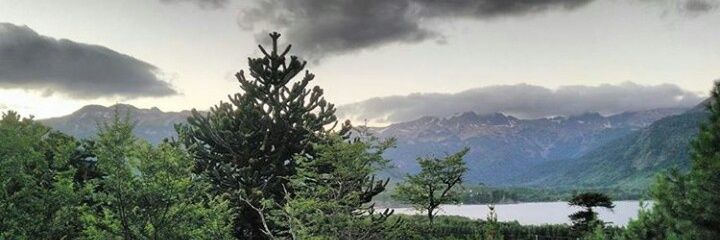MaxiRaco's profile banner image