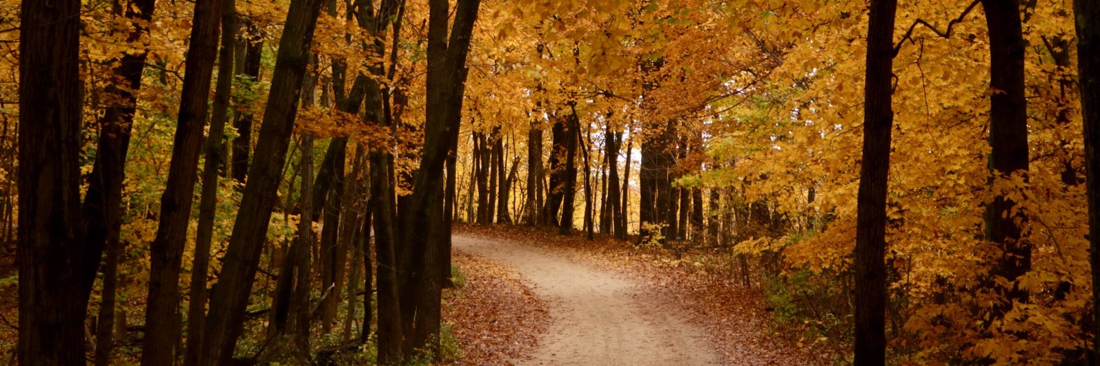 Courtney (C.J.) Sinner banner