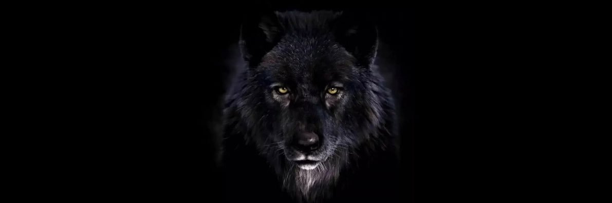Cebrail Berke ©️❤️‍🔥♒️ banner