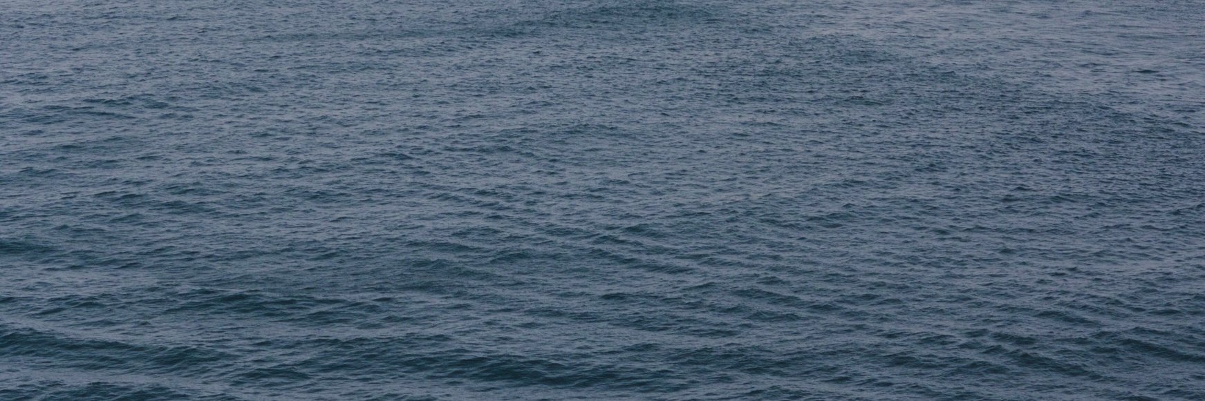 jhishan's profile banner image