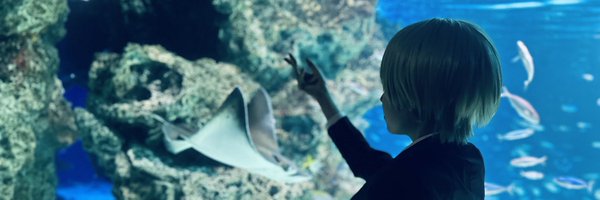 SimeSavagasuki Profile Banner