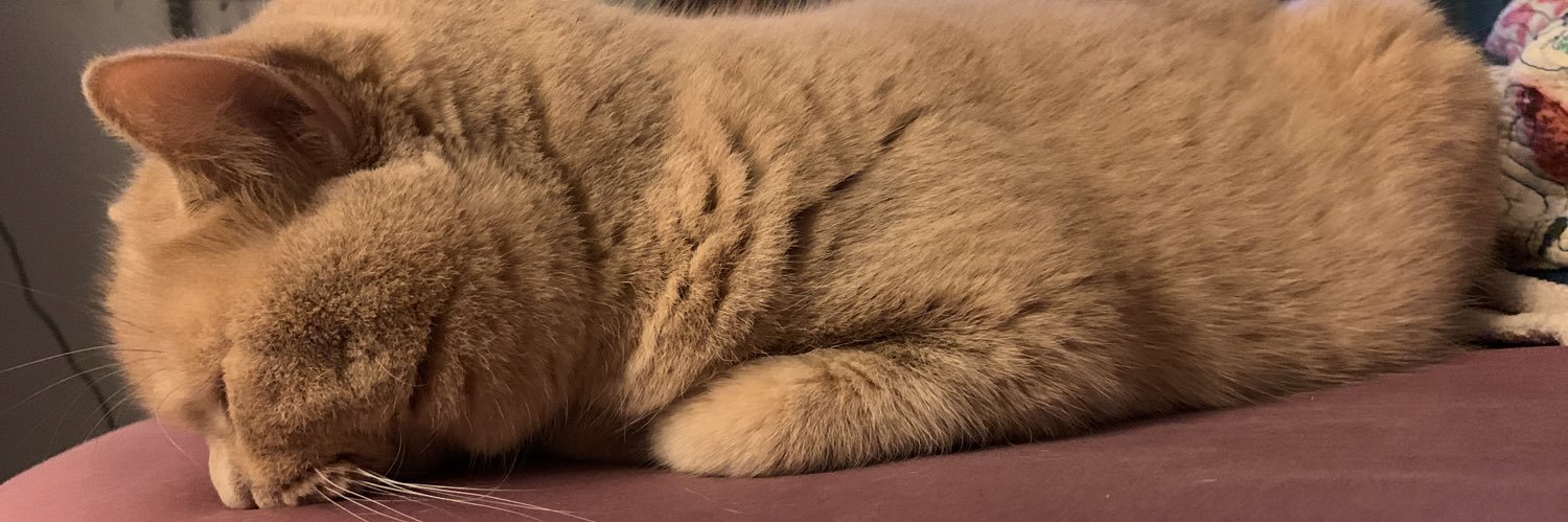 GryffEndora #BLM #translivesmater #loveeachother banner