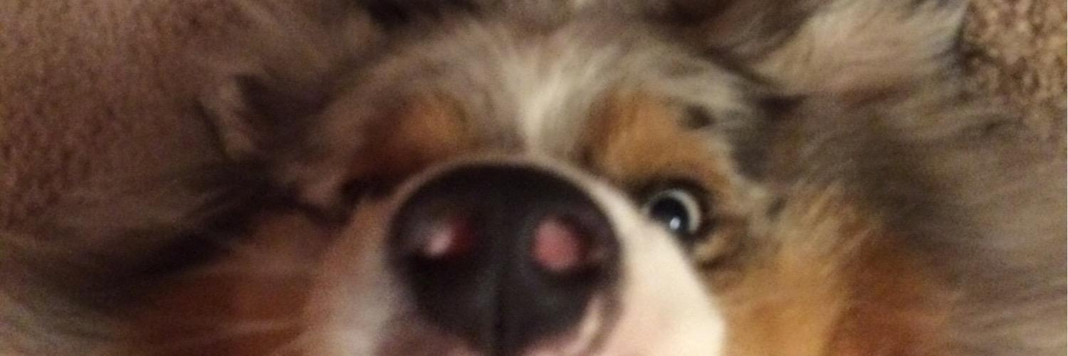 mrbigrigt's profile banner image