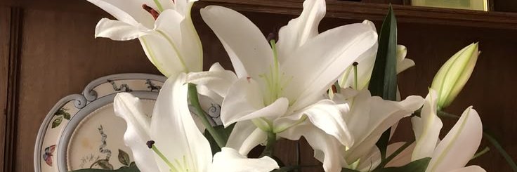 amouvnts's profile banner image