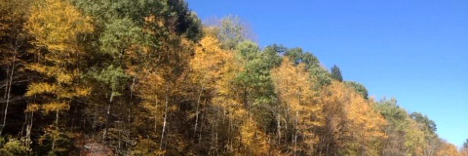 NikkiNik_D's profile banner image