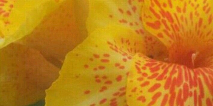 heaven7733's profile banner image