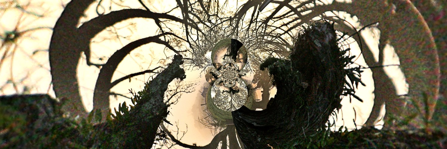 transtaganas's profile banner image
