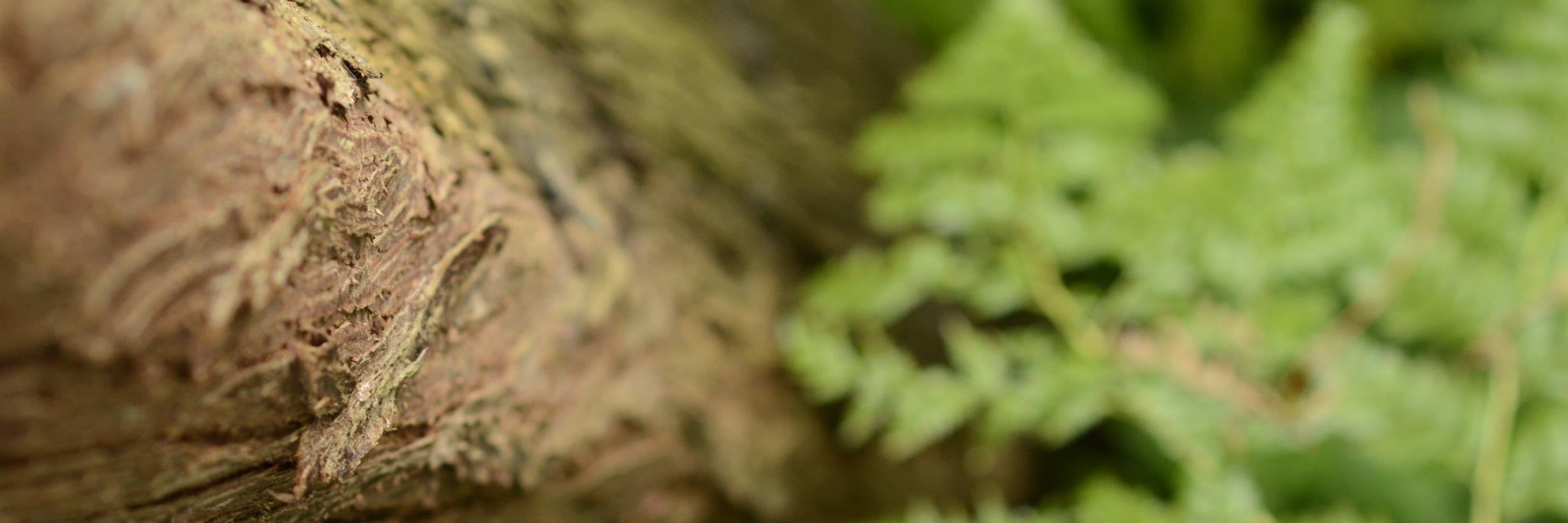 paulRb_r's profile banner image