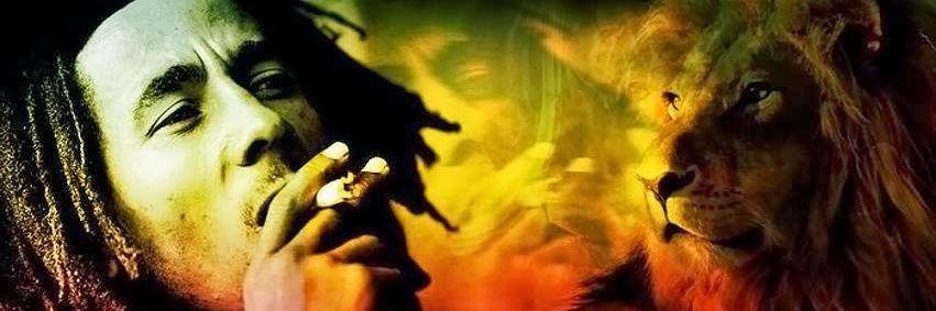 DancehallMad's profile banner image