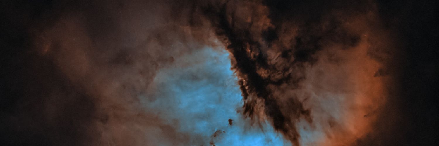 Michał Mosdorf banner