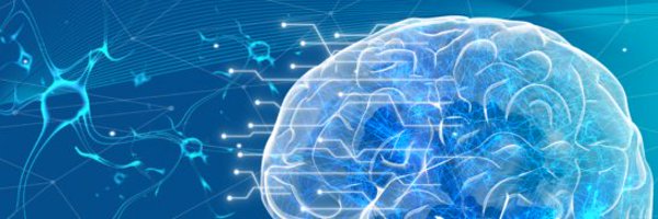 Brainiacs_Lab Profile Banner